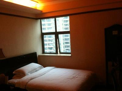 وینا هتل شنزهن اینترنیشنال