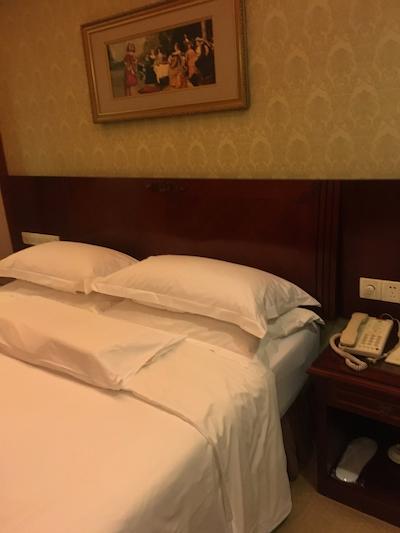 وینا هتل شنزهن اینترنیشنال