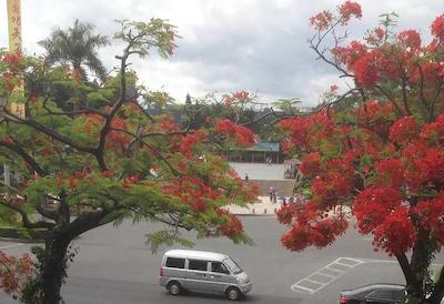 یافنگ هتل اُورسیز چینس تون برانچ