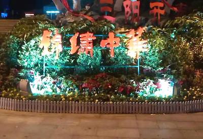 یافنگ هتل اُورسیز چینس تون برانچ