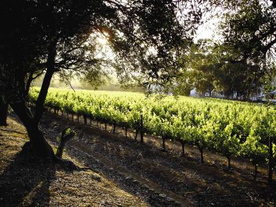 د دون والی هتل