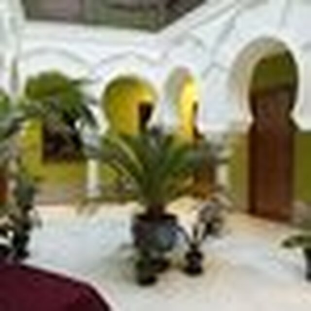 هسترا لینرز 38