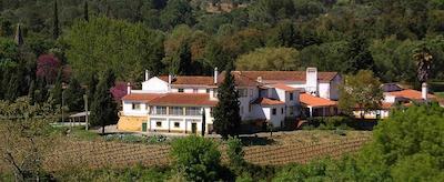 کوینتا دا انونشیاندا ولها