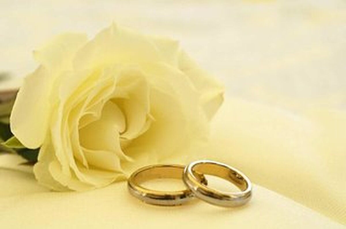 دوبلتری نو اُرلینز آیرپرت