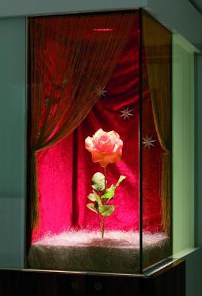 هپر است جسف