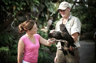 پولمان ریف هتل کاسینو