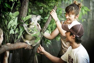 پولمان ریف هتل کاسینو