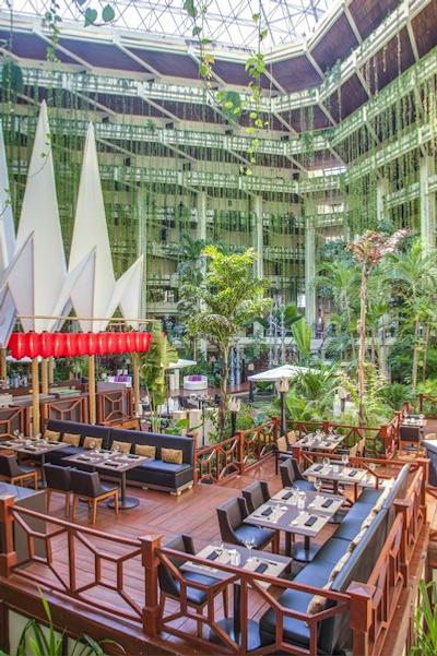 پارادیسوز کانکن