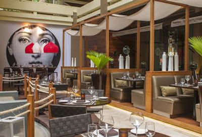 پارادیسوز کانکن