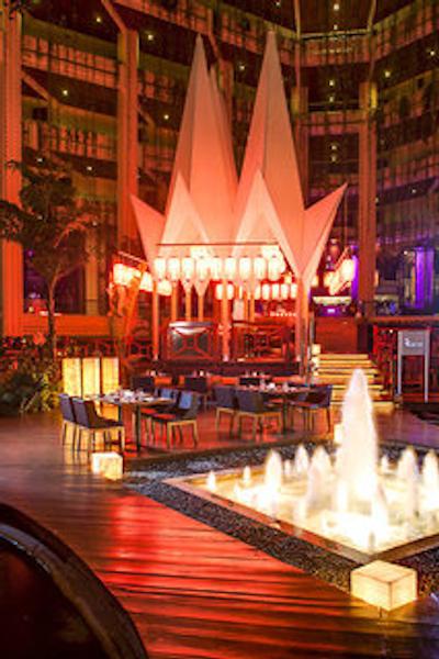 پارادیسوز کانکن