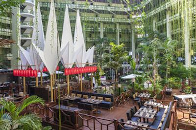 پارادیسوز کانکن