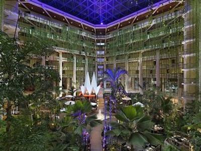 پارادیسوز کانکن