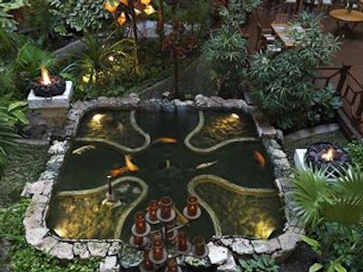 پارادیسوز کانکن