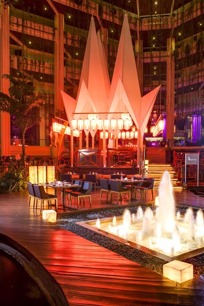 پارادیسوز کانکن