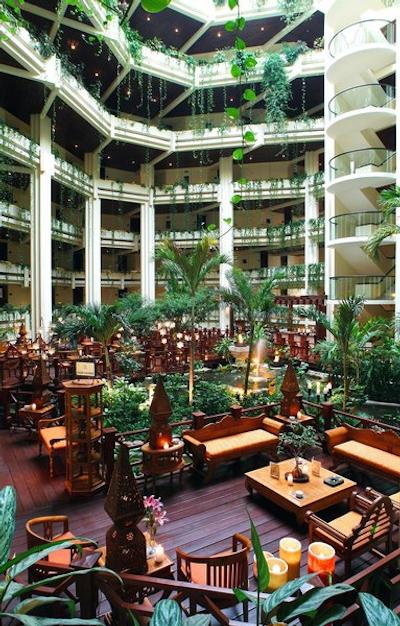 پارادیسوز کانکن