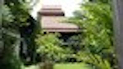 باان گونگ خام