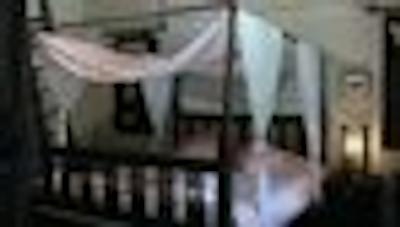 باان گونگ خام