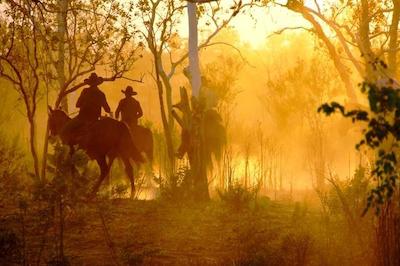 هم والی استیشن