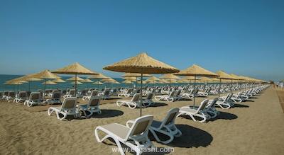 تایتانیک دلوکس گلف بلک