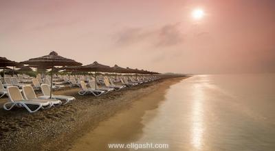 تایتانیک دلوکس گلف بلک