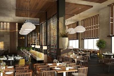 تایتانیک دلوکس گلف بلک