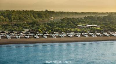 تایتانیک دلوکس گلف بلک