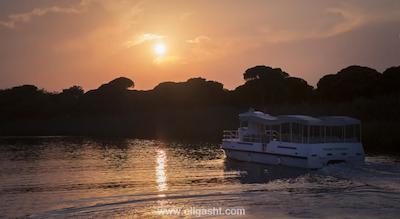 تایتانیک دلوکس گلف بلک