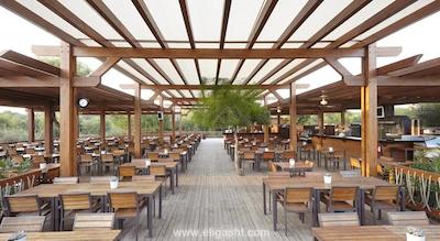 تایتانیک دلوکس گلف بلک