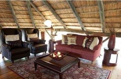 سلوز سرنا کمپ