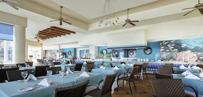 اُکسیدنتال توکانکن