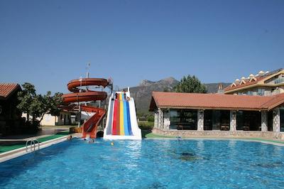 ادابورنو گلمار