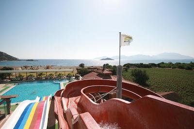 ادابورنو گلمار