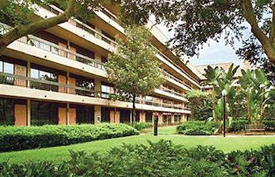 ردو این اینترنیشنال دریو