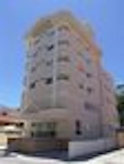 لویسا پالاس