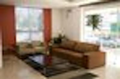 لویسا پالاس