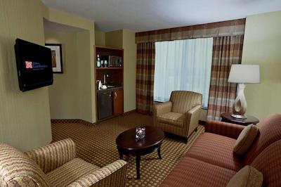 هیلتون گاردن این ترنتو آیرپرت