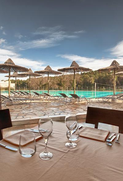 کدشتلز باسیلیانی