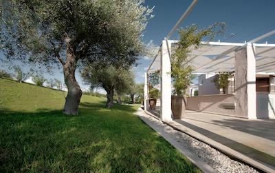 کدشتلز باسیلیانی