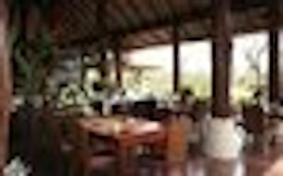 جاسمین هیلز لج