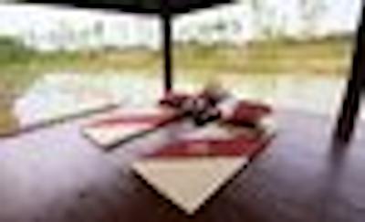 جاسمین هیلز لج