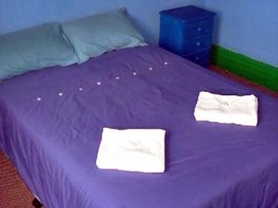 نمادز ال نیشنز باکپاکرز