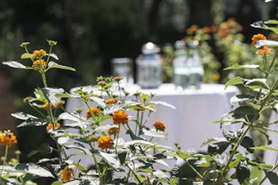 هتل گرنزفال