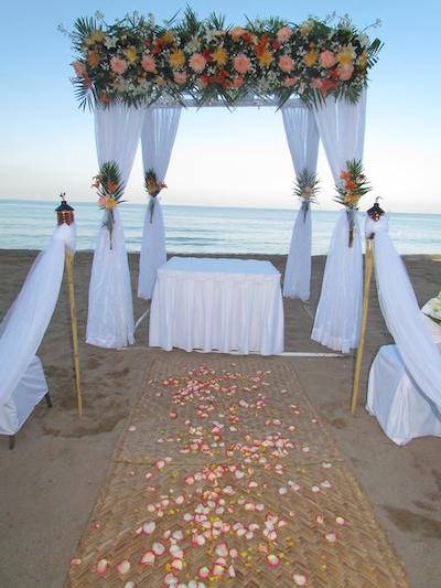 پلا لز ارکز