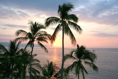 پلا لز ارکز