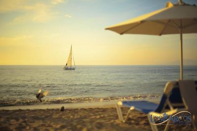 پلا لز ارکز