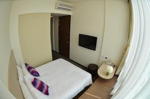 اکوئین لاوندر