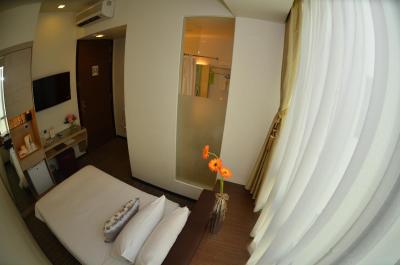 اکوئین لاوندر