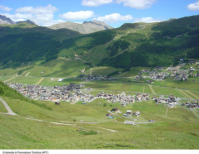 امریکان