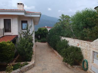 کلوب انتیفلز