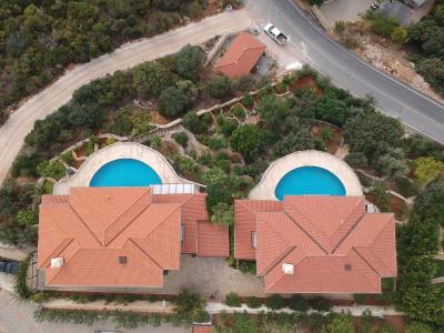 کلوب انتیفلز